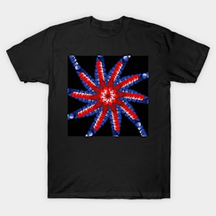 Blue red spherees T-Shirt